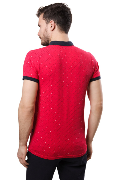 Поло 034492 @2404