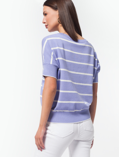 Джемпер D39.529