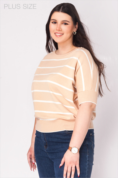 Джемпер D39.529